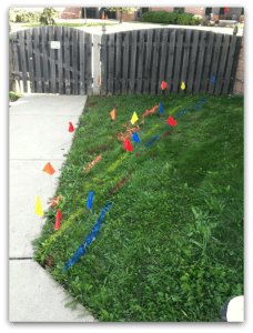 Utility locate flags and paint markings in grass