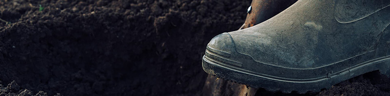 Boot pushing shovel into soil
