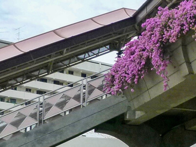 Abstract image of bridge in Singapore