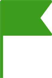 Flag icon (green)
