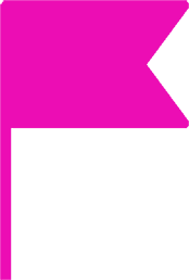 Flag icon (pink)
