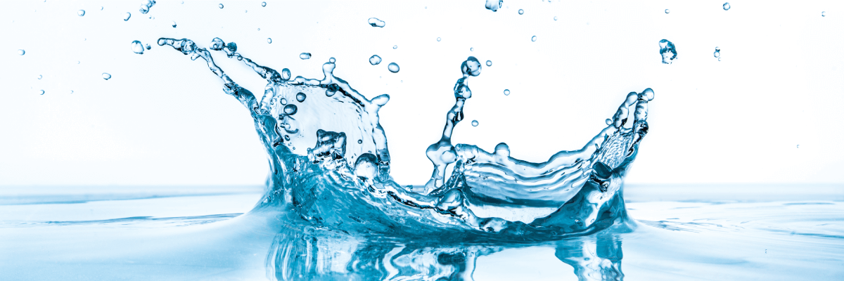 Northumbrian Water Group Case Study