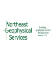 Northeast Geophysical Services logo